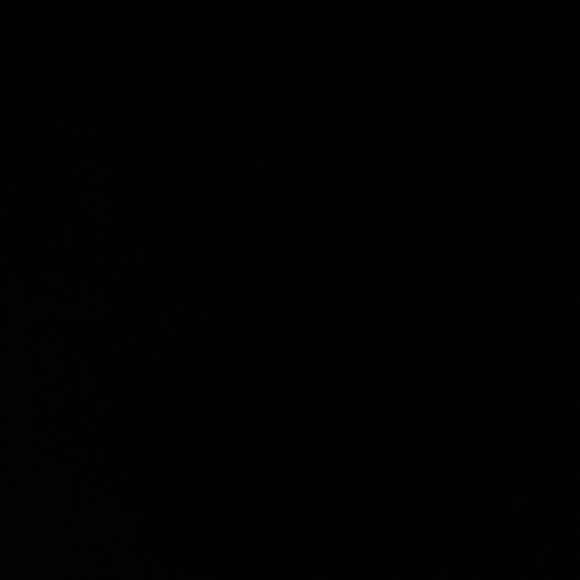 FRYE BOOTS - Picture 9 of 10